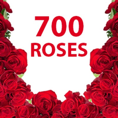 700 Red Roses