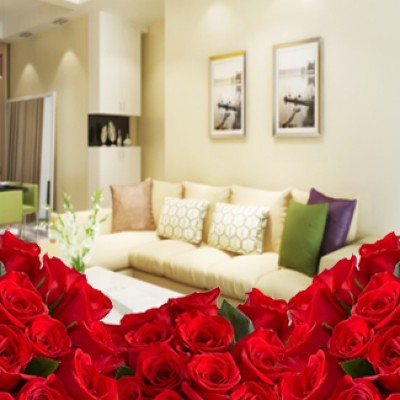 Room full of Red Roses