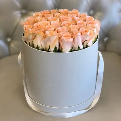 Sweet Peach Roses