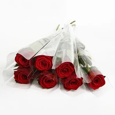Single Beautiful Roses