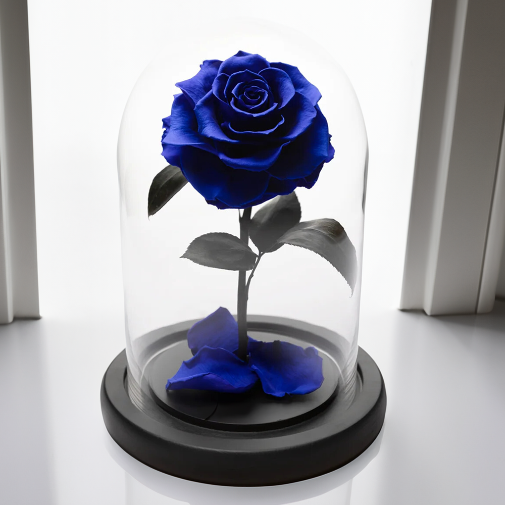 Blue Forever Roses