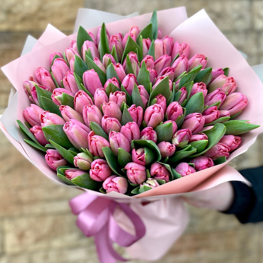 Pink Tulips Love