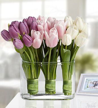 Tulips in A Vase