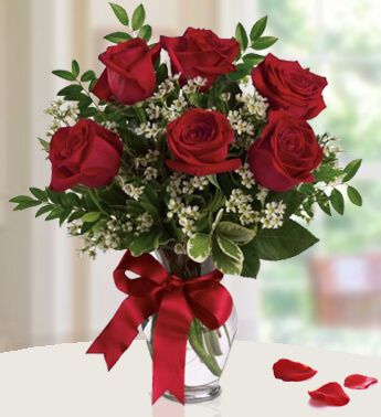 Love Roses 6