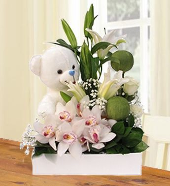 Orchids & Teddy