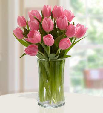 Blushing Tulips