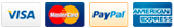 Visa, MasterCard, Discover, Paypal, American Express Logos